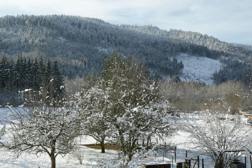 Chez Vovone 3 Etoiles Clevacances Saulxures-sur-Moselotte Exteriör bild