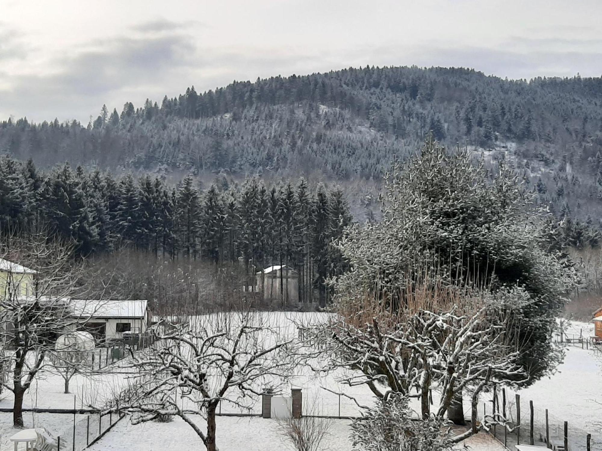 Chez Vovone 3 Etoiles Clevacances Saulxures-sur-Moselotte Exteriör bild