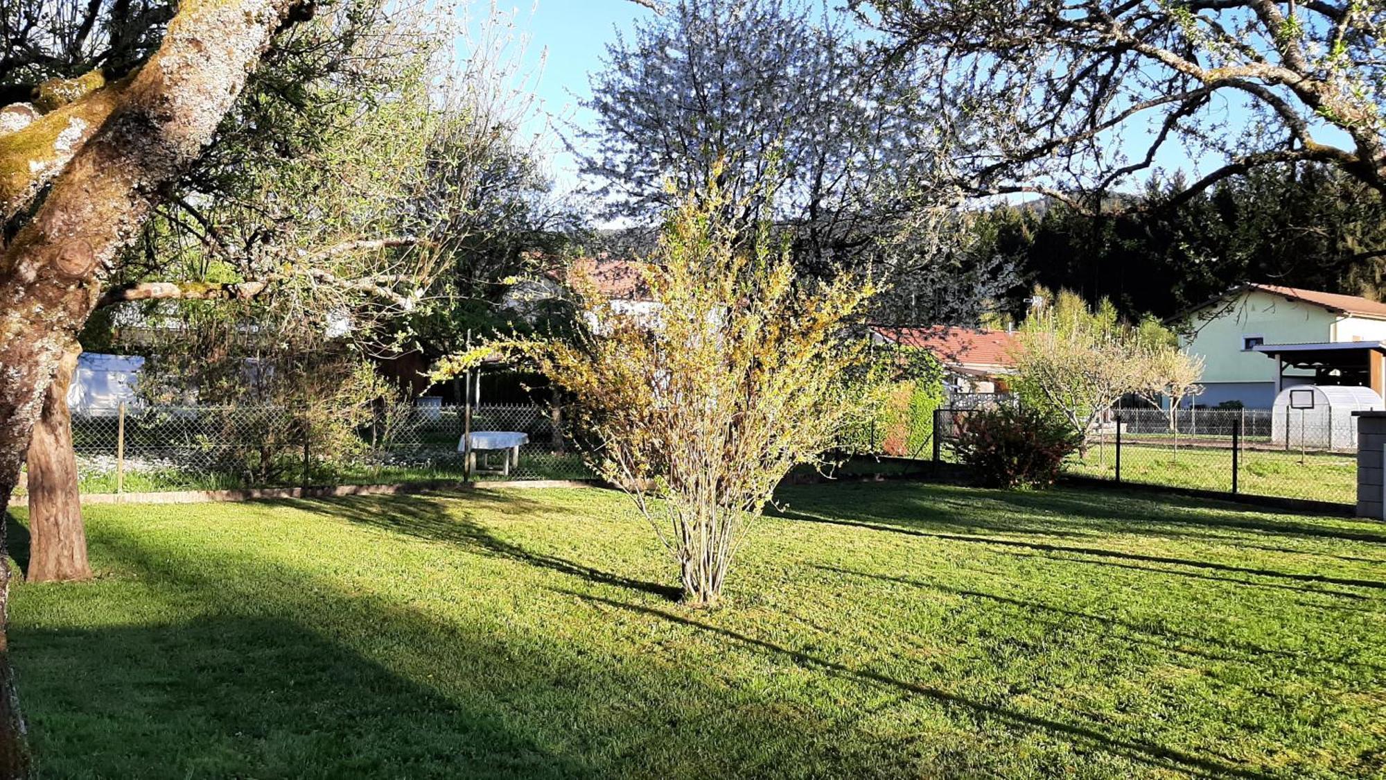 Chez Vovone 3 Etoiles Clevacances Saulxures-sur-Moselotte Exteriör bild