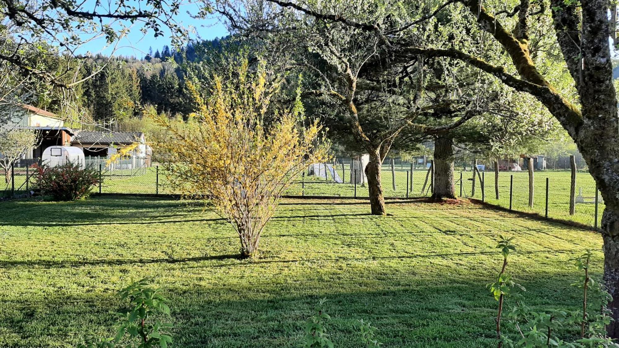 Chez Vovone 3 Etoiles Clevacances Saulxures-sur-Moselotte Exteriör bild